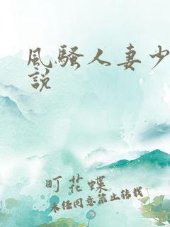 风骚人妻少妇小说