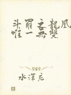 斗罗之龙凰传说唯一无双