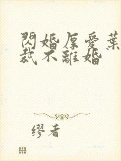 闪婚厚爱叶少总裁不离婚