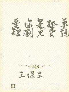 爱你是孤单心事短剧免费观看全集高清