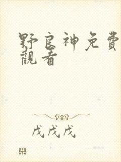 野良神免费在线观看