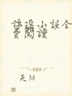 锦瑶小说全文免费阅读