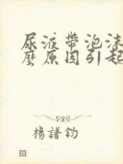 尿液带泡沫是什么原因引起的