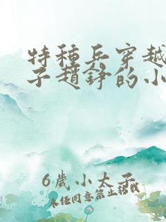 特种兵穿越成皇子赵铮的小说