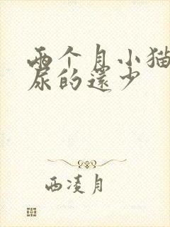 两个月小猫尿频尿的还少