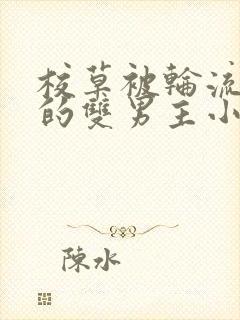 校草被轮流欺负的双男主小说