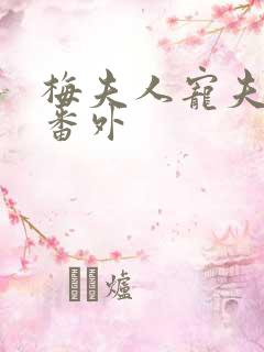 梅夫人宠夫日常番外