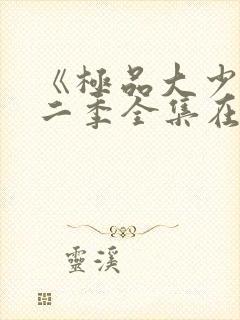 《极品大少》第二季全集在线观看