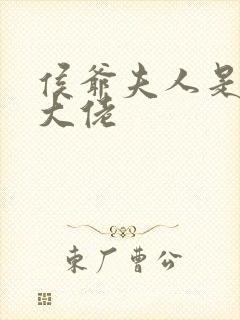 侯爷夫人是满级大佬