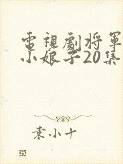 电视剧将军家的小娘子20集至40集