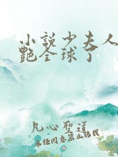 小说少夫人她惊艳全球了