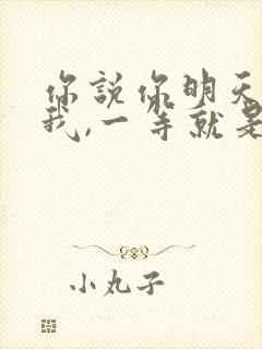 你说你明天来看我,一等就是一年多歌词