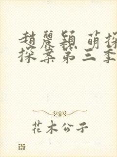 赵丽颖 萌探探探案第三季