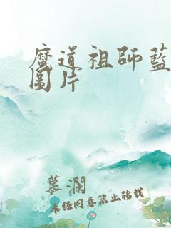 魔道祖师蓝忘机图片