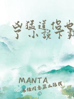 凶猛道侣也重生了 小说下载txt