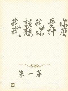 我说我爱你我说我想你什么歌