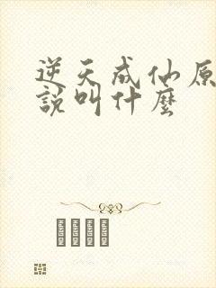 逆天成仙原著小说叫什么