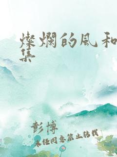 灿烂的风和海全集