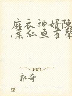 麻衣神婿陈黄皮,叶红鱼有声小说