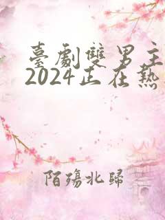 台剧双男主推荐2024正在热播的剧