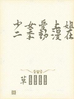 少女爱上姐姐第二季动漫在线观看