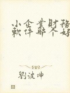 小企业财务记账软件哪个好