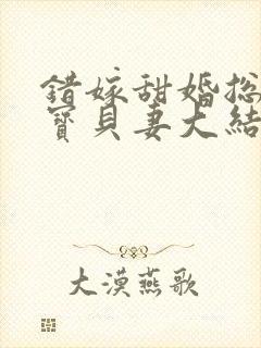 错嫁甜婚总裁的宝贝妻大结局