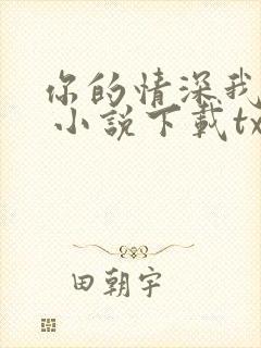 你的情深我不配 小说下载txt