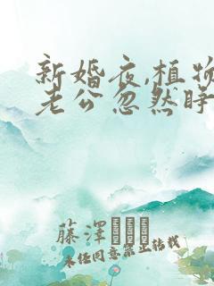 新婚夜,植物人老公忽然睁开眼完整版