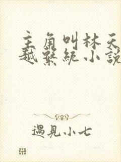 主角叫林天的穿越系统小说