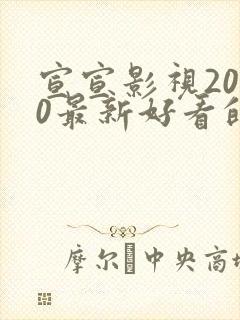 宣宣影视2020最新好看的电视剧