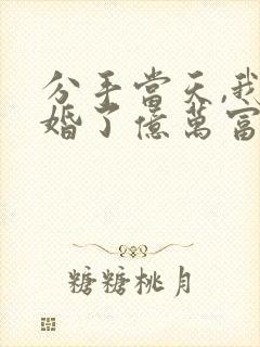 分手当天,我闪婚了亿万富豪全文免费阅读