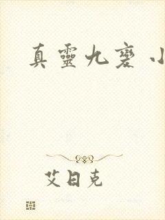 真灵九变 小说
