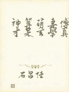 神算萌妻傅太太才是玄学真大佬txt下载