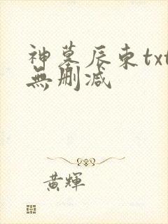 神墓辰东txt无删减