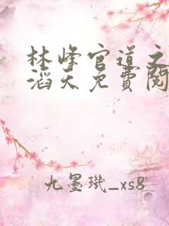 林峰官道之权势滔天免费阅读