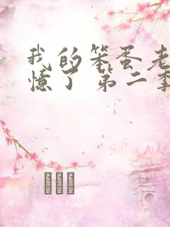 我的笨蛋老婆失忆了 第二季