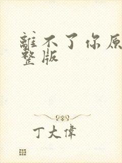 离不了你原唱完整版