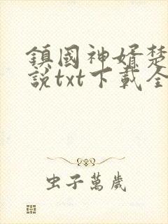 镇国神婿楚尘小说txt下载全文