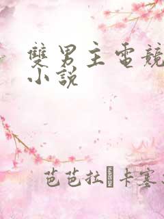 双男主电竞甜文小说