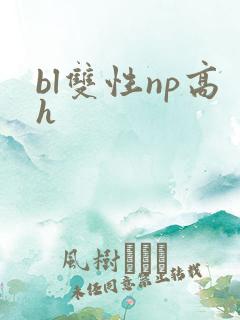 bl双性np高h