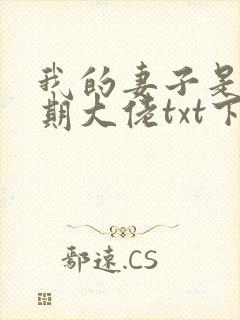 我的妻子是大乘期大佬txt下载