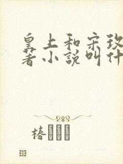 皇上和宋玫湖原著小说叫什么名字