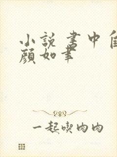 小说 书中自有颜如聿