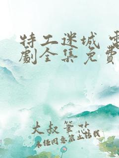 特工迷城 电视剧全集免费播放