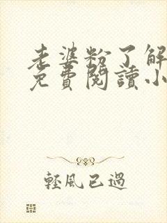 老婆粉了解一下免费阅读小说