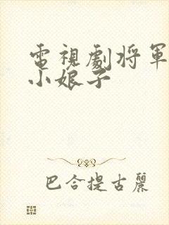 电视剧将军家的小娘子