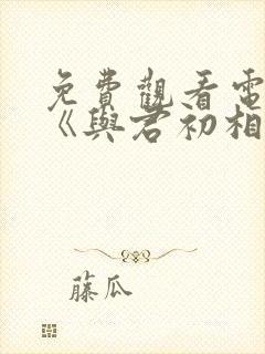 免费观看电视剧《与君初相识》