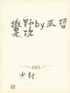 撒野by巫哲谁是攻