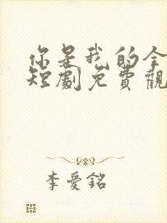 你是我的全世界短剧免费观看全集